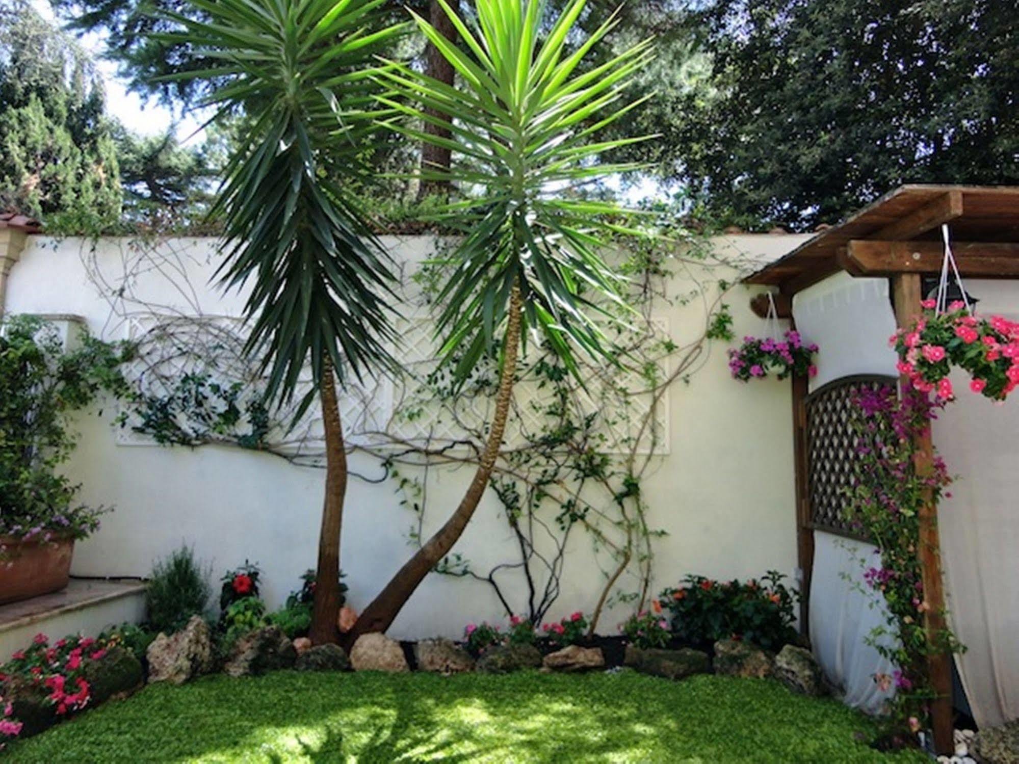 B&B Ai 2 Papi Rome Bagian luar foto